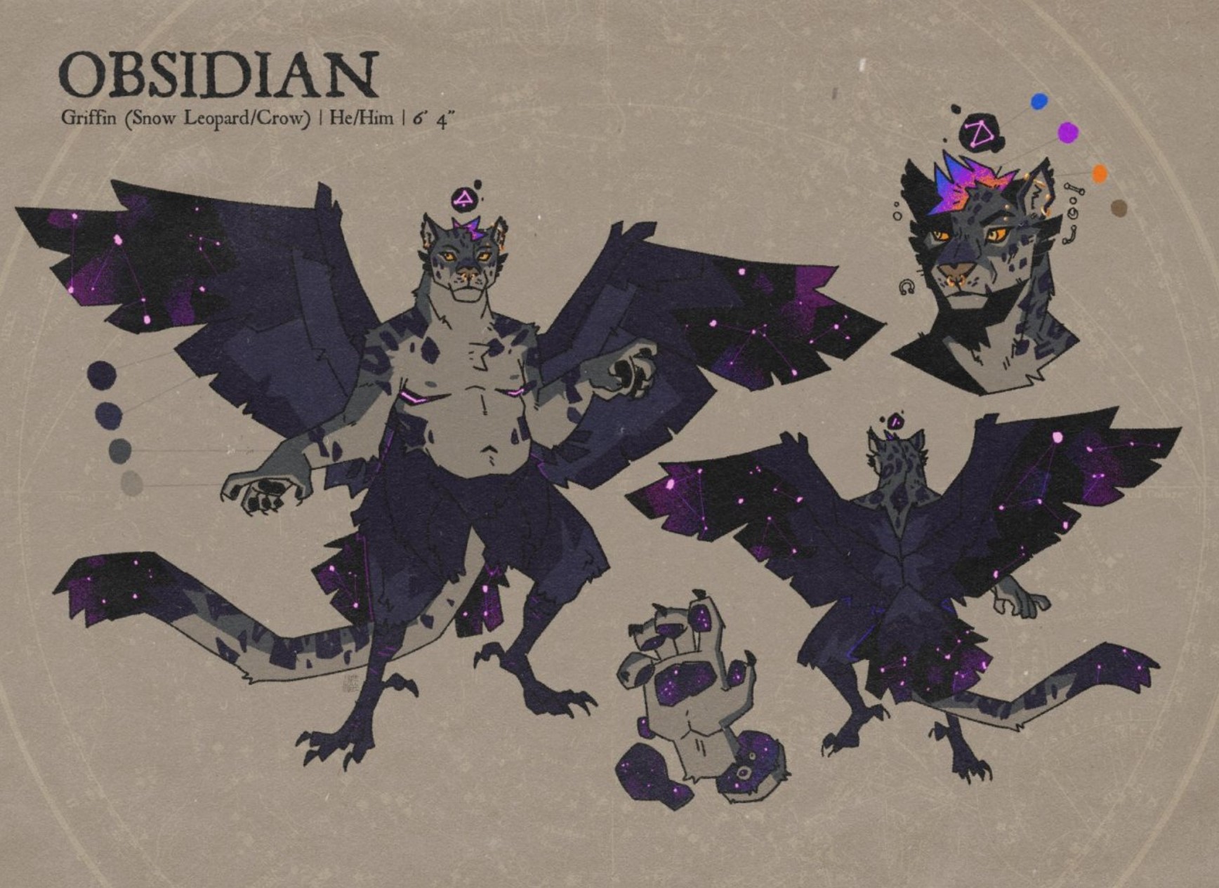 Character reference sheet of a winged, snow leopard and crow hybrid creature.The text reads "Obsidian, Griffin (Snow Leopard/Crow) | He/Him | 6 (feet) 4 (inches)". From left to right, there is a front full view of the characters with wings open, then a close up of his paw shimmering like a night sky on the pawpads and flesh, then a smaller back view of the character, and finally a close up of his head with small visuals of his various piercings. A blob with a constellation floating above his head.