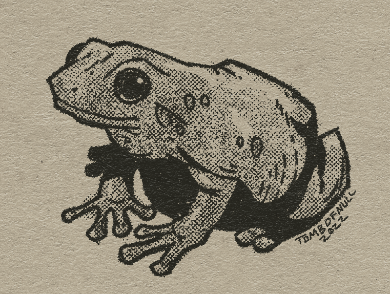A sketch of a frog with a friendly face.