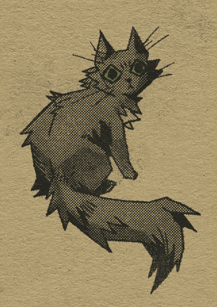Sketch of a fluffy cat with dark fur.