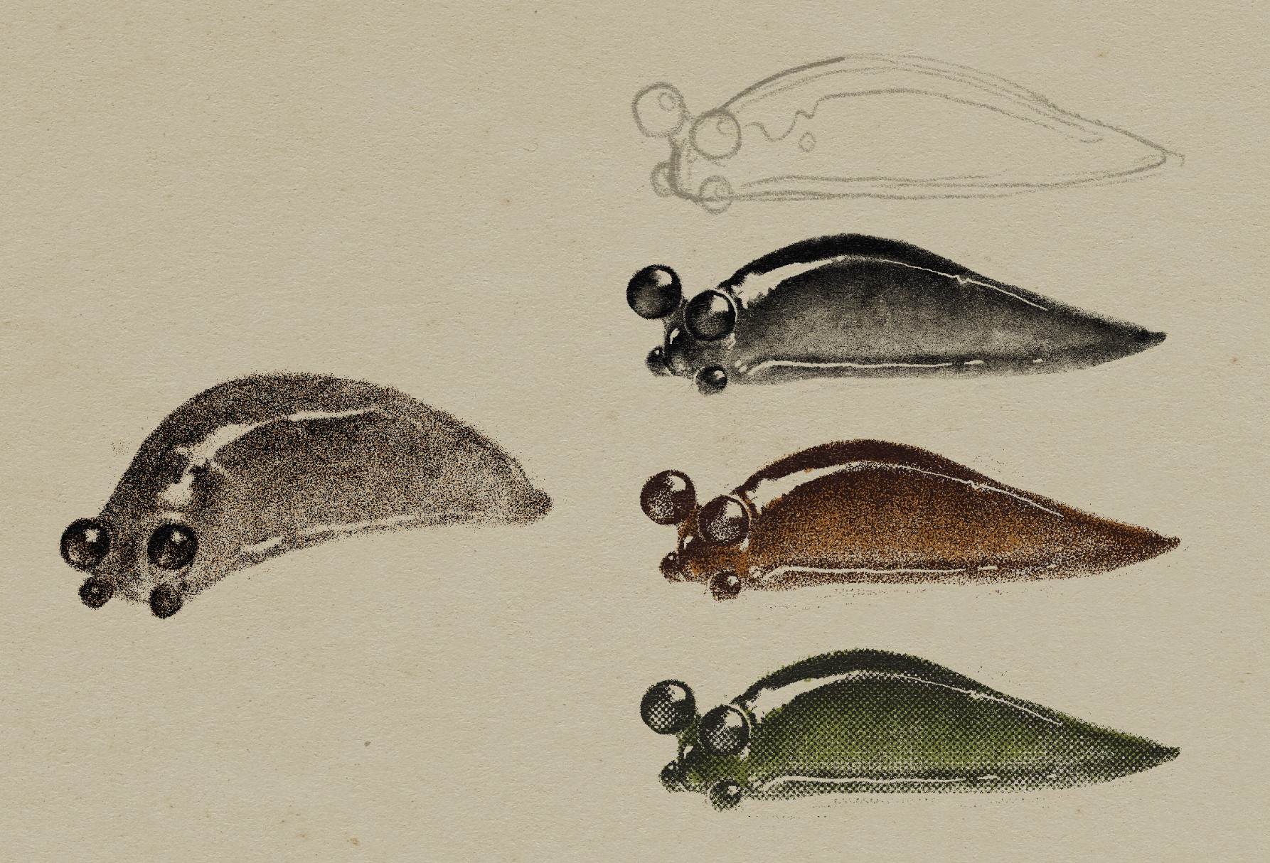 Illustration of several baby slugs. The lone one on the left is sightly facing the viewer. The others on the right are all the same but rendered in different textures and colors.
 