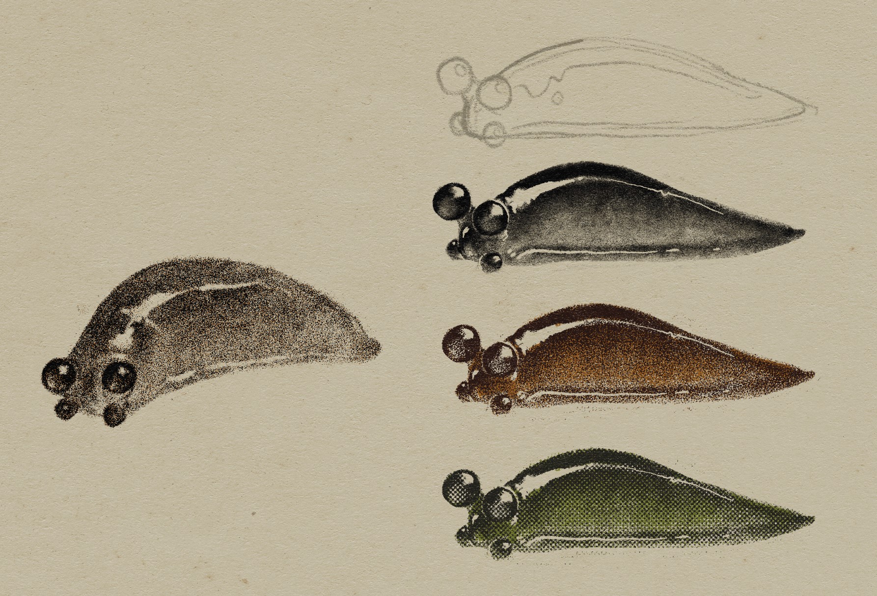 Illustration of several baby slugs. The lone one on the left is sightly facing the viewer. The others on the right are all the same but rendered in different textures and colors.