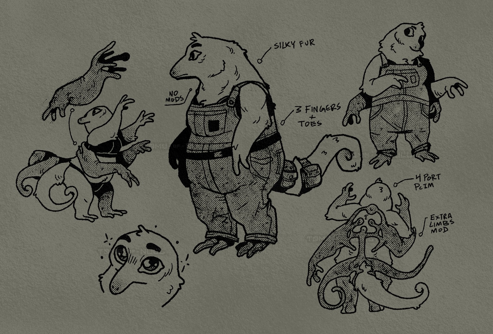 Several illustrations of an anthro silky anteater. She is wearing overalls and biopunk-ish mods that giver her extra arms and tails. Text: Silky fur, 3 fingers + toes, 4 port PcIM, extra limbs mod.