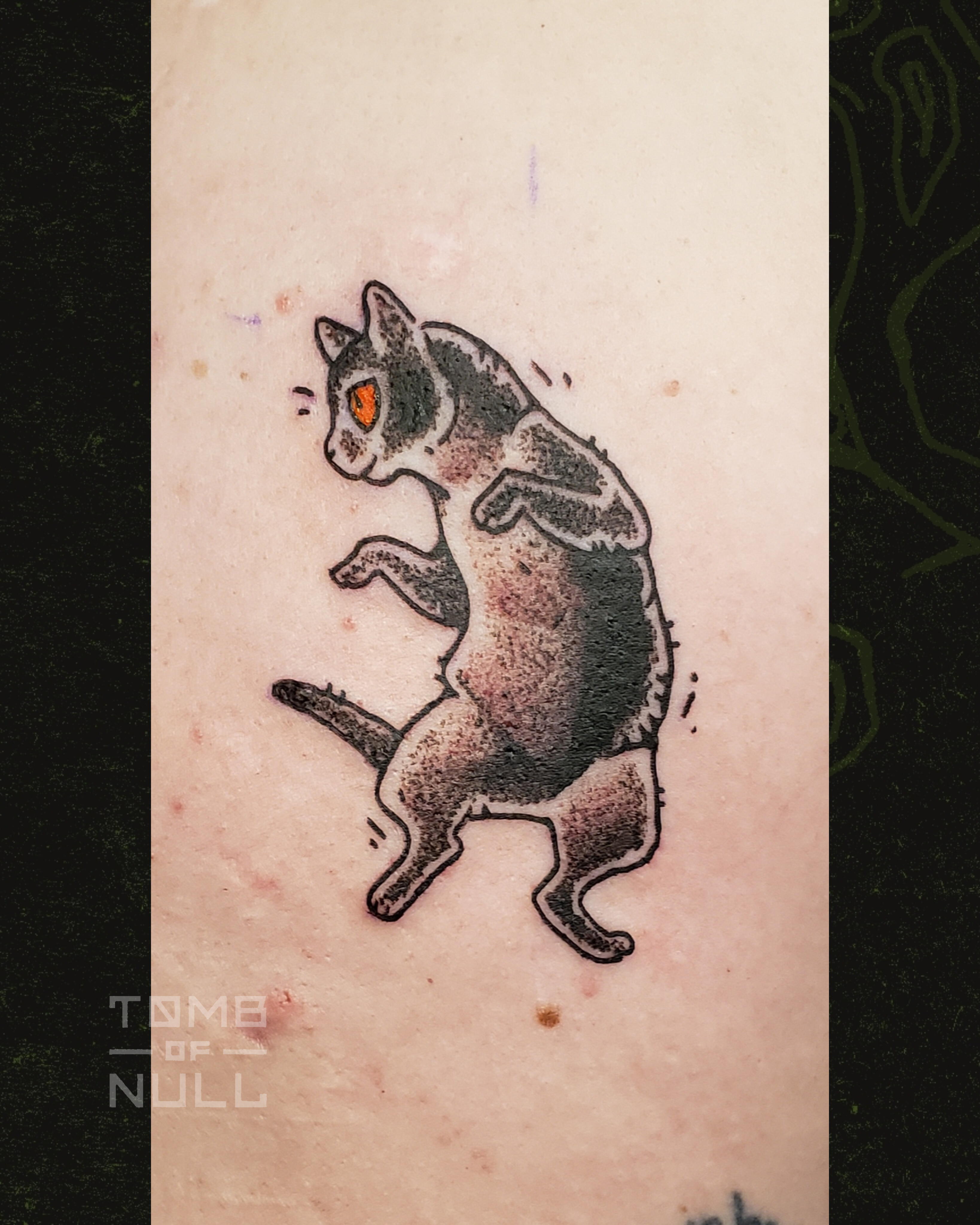 No alt-text available. 